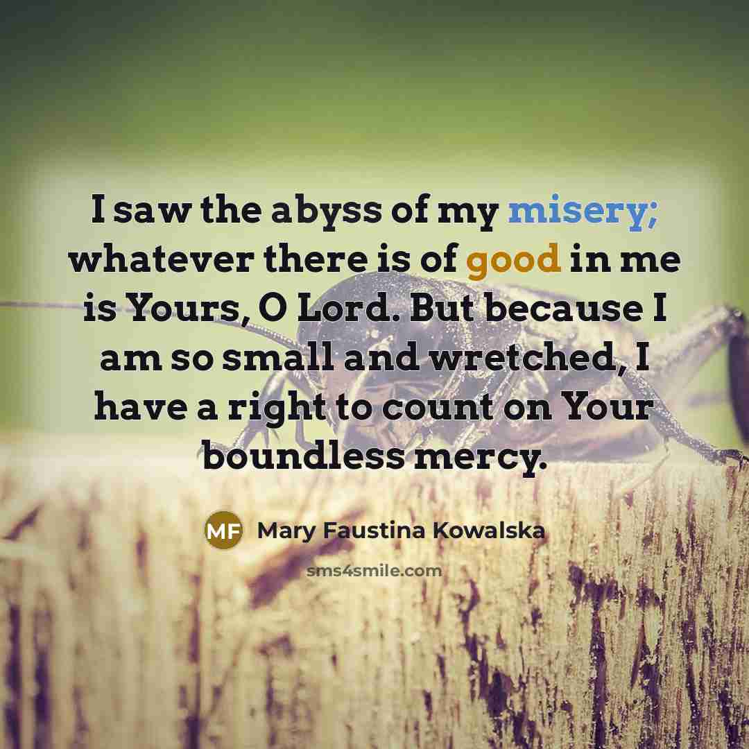 “I saw the abyss of my misery; whatever there is…” quote by Mary Faustina Kowalska