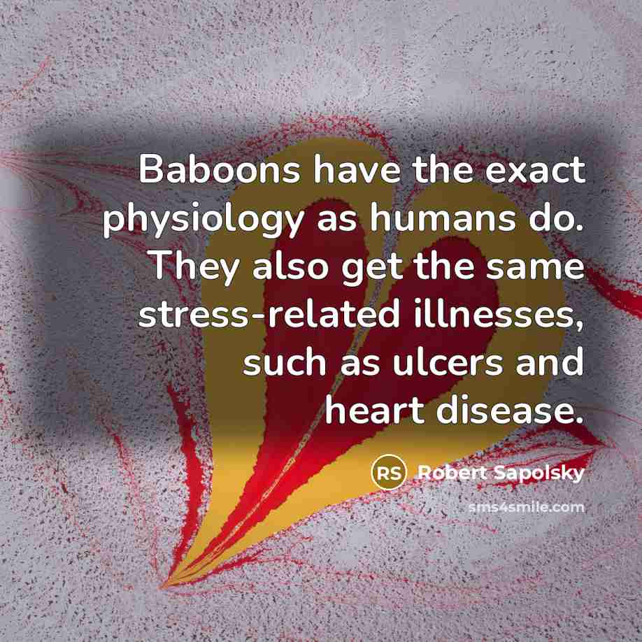 “Baboons have the exact physiology as humans do. They also…” quote by Robert Sapolsky