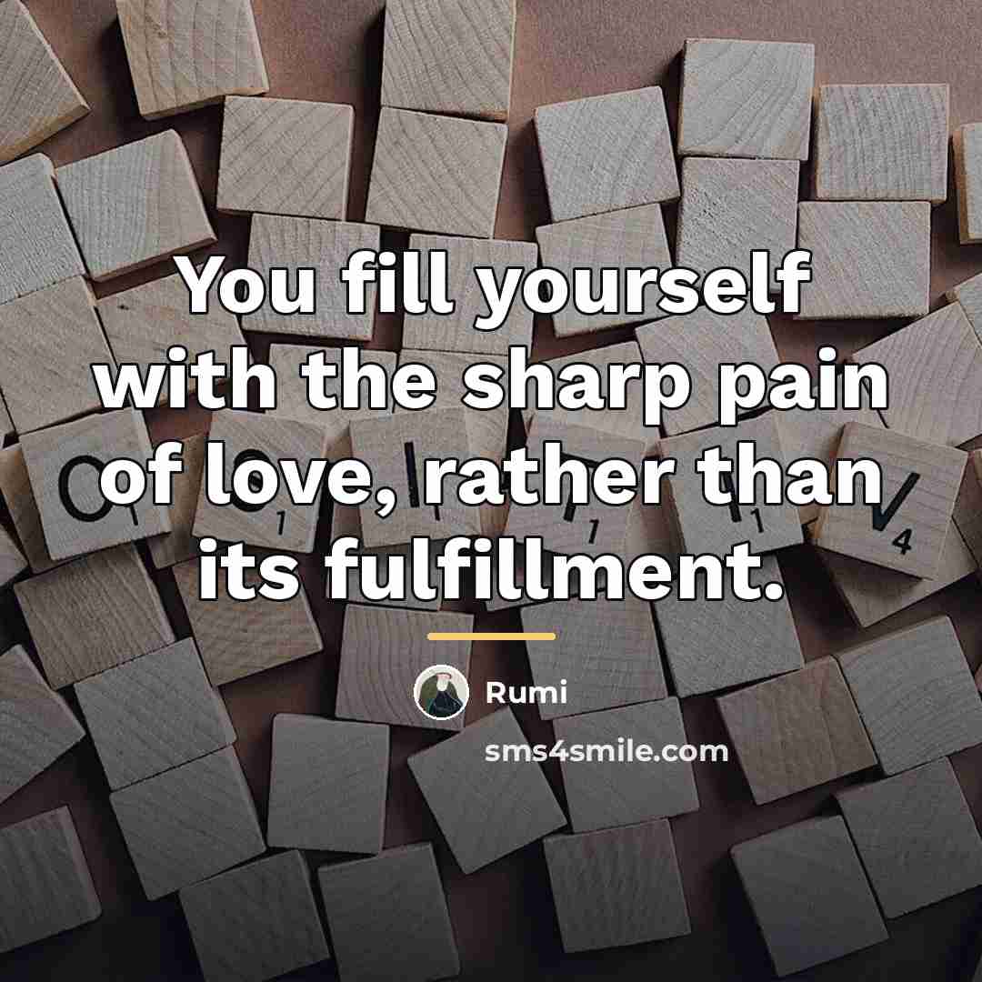 “You fill yourself with the sharp pain of love, rather…” quote by Rumi