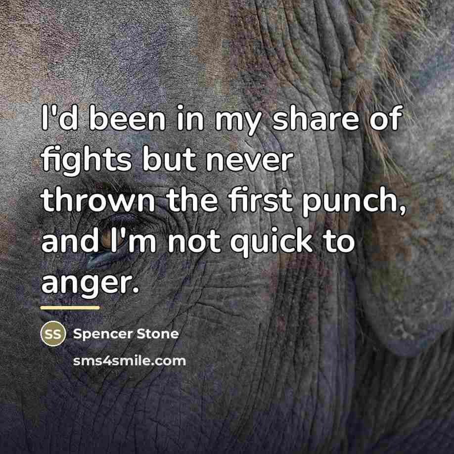 “I'd been in my share of fights but never thrown…” quote by Spencer Stone