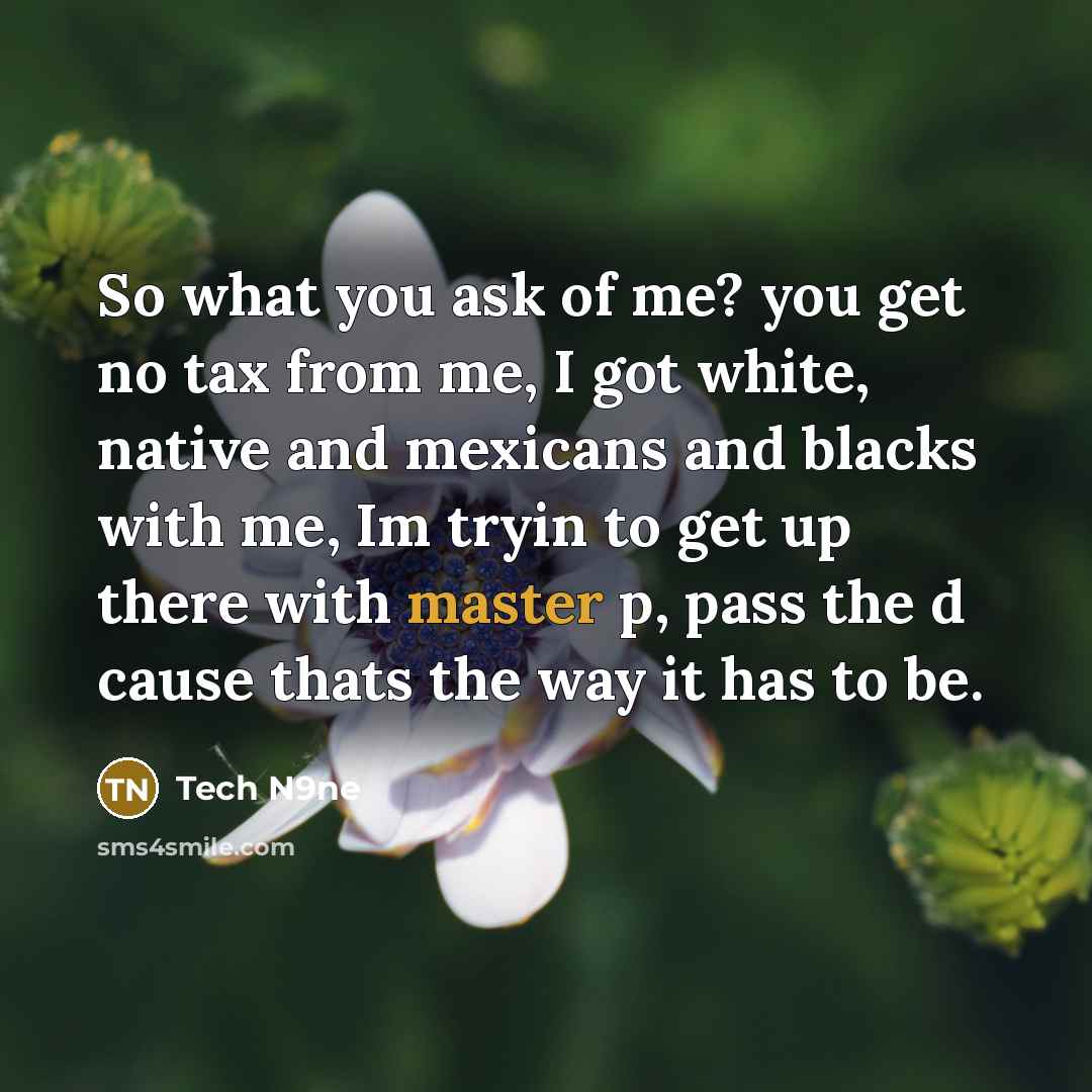 “So what you ask of me? you get no tax from me, I got white, native and mexicans and blacks with me, Im tryin to get up there with master p, pass the d cause thats the way it has to be.” quote by Tech N9ne