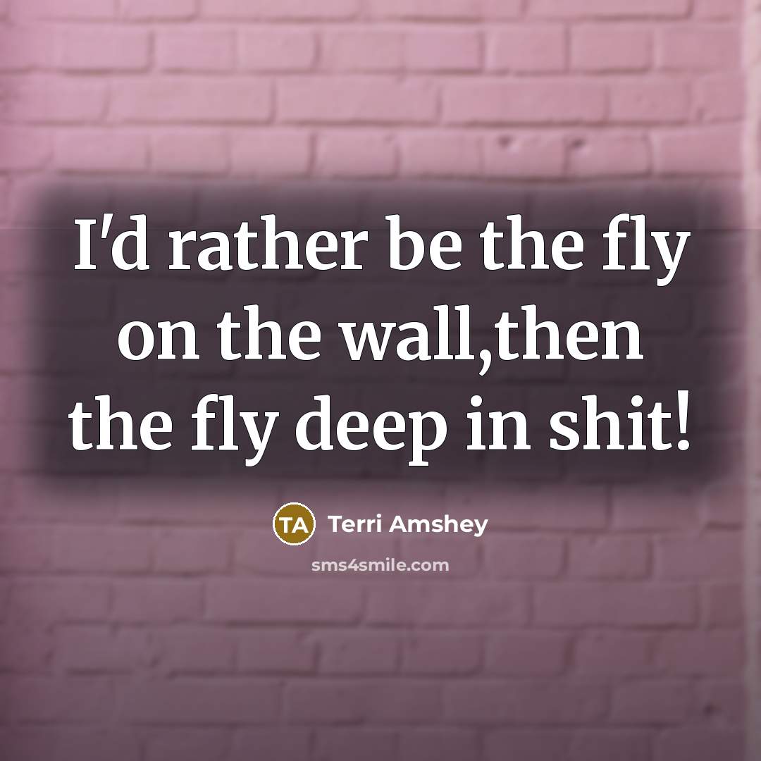 “I'd rather be the fly on the wall,then the fly…” quote by Terri Amshey
