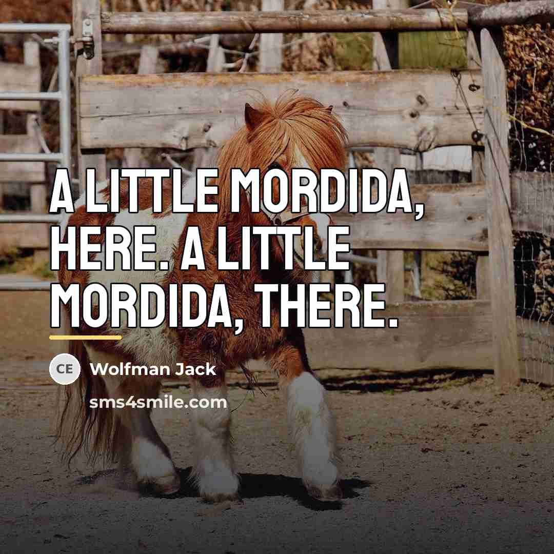 “A little mordida, here. A little mordida, there.…” quote by Wolfman Jack