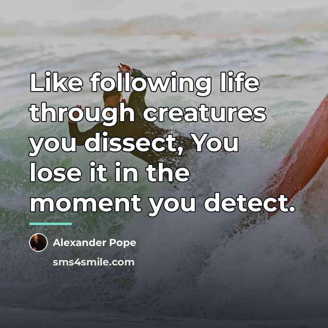 “Like following life through creatures you dissect, You lose it…” quote by Alexander Pope