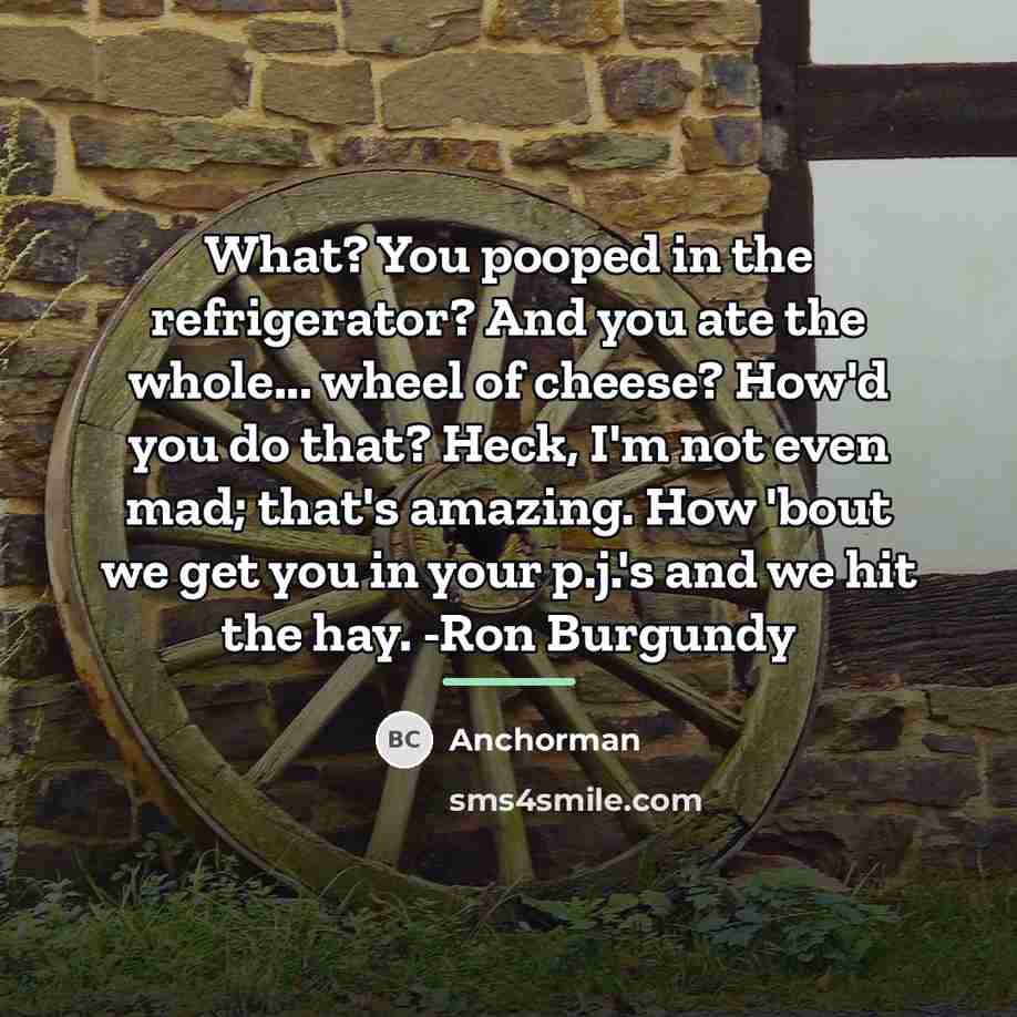 “What? You pooped in the refrigerator? And you ate the…” quote by Anchorman