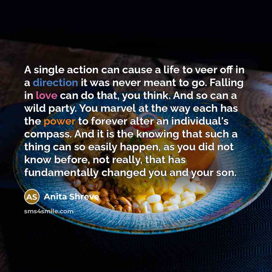 “A single action can cause a life to veer off…” quote by Anita Shreve