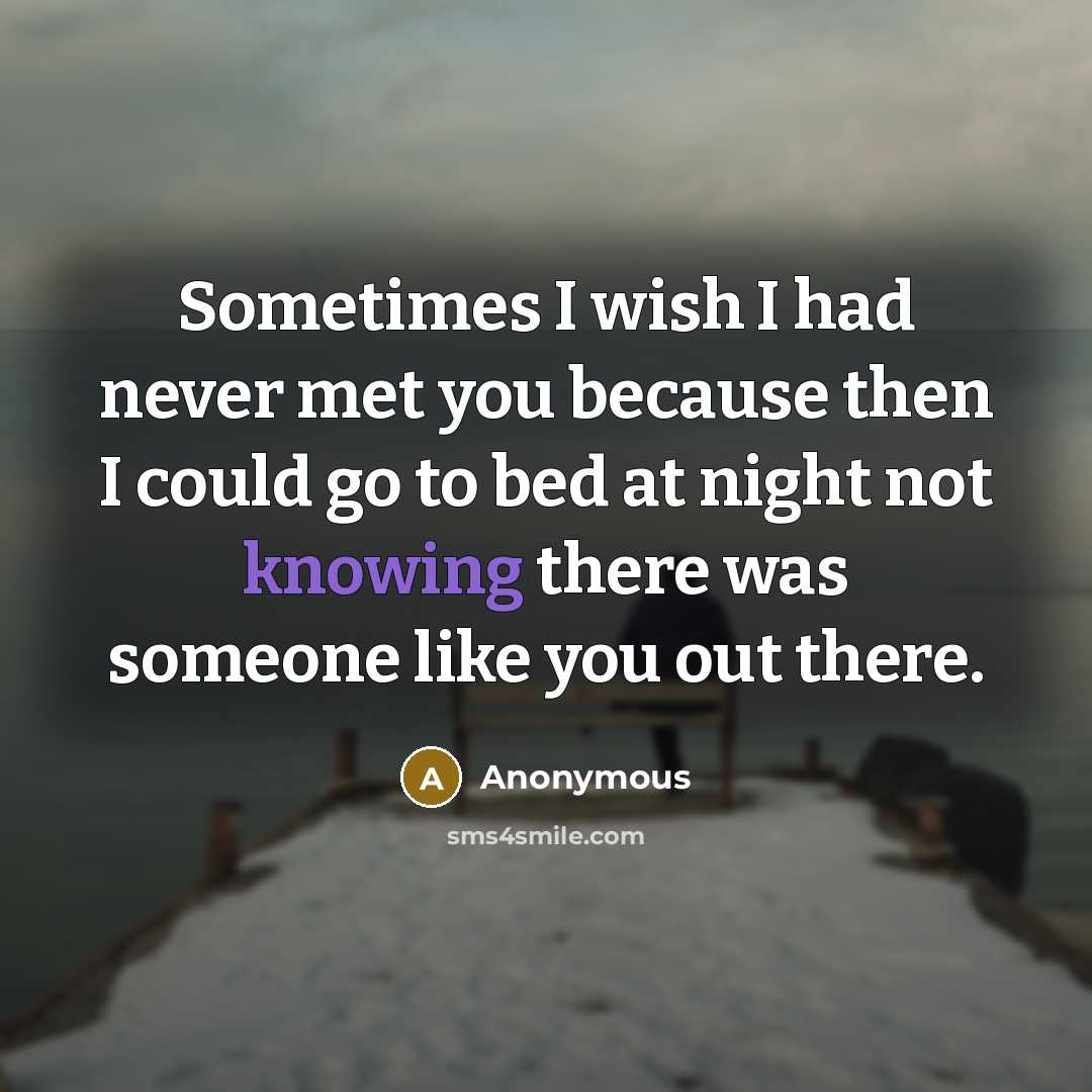 “Sometimes I wish I had never met you because then…” quote by Anonymous