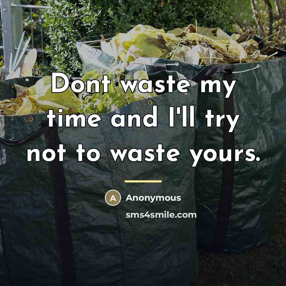 “Dont waste my time and I'll try not to waste…” quote by Anonymous