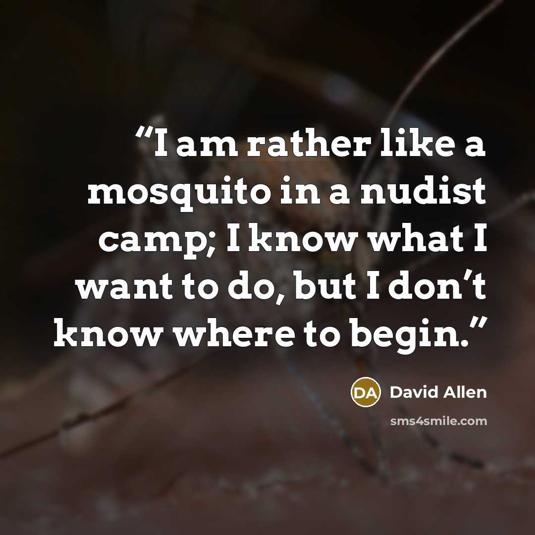 “I am rather like a mosquito in a nudist camp; I know what I want to do, but I don’t know where to begin.” quote by David Allen