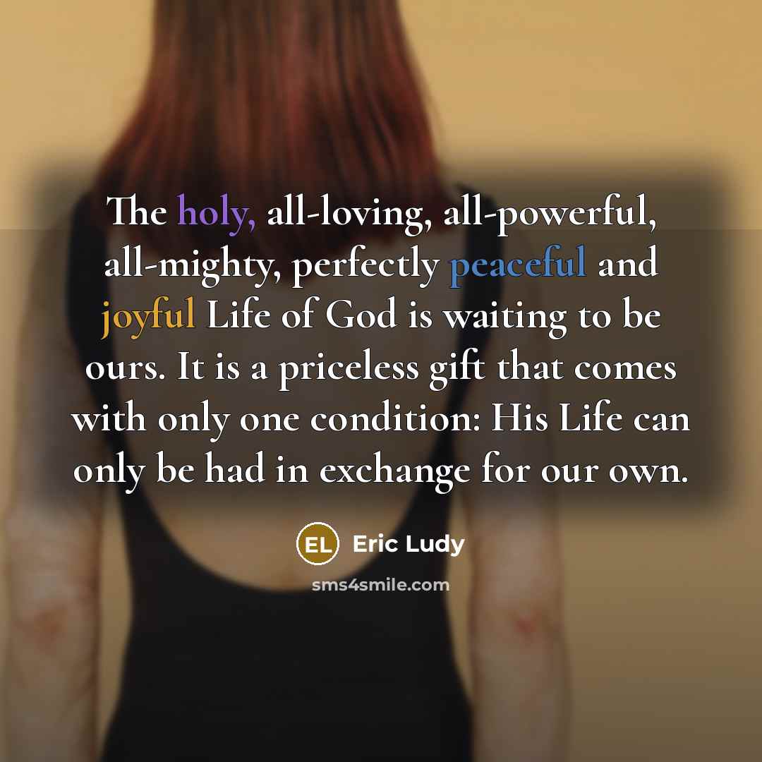 “The holy, all-loving, all-powerful, all-mighty, perfectly peaceful and joyful Life…” quote by Eric Ludy