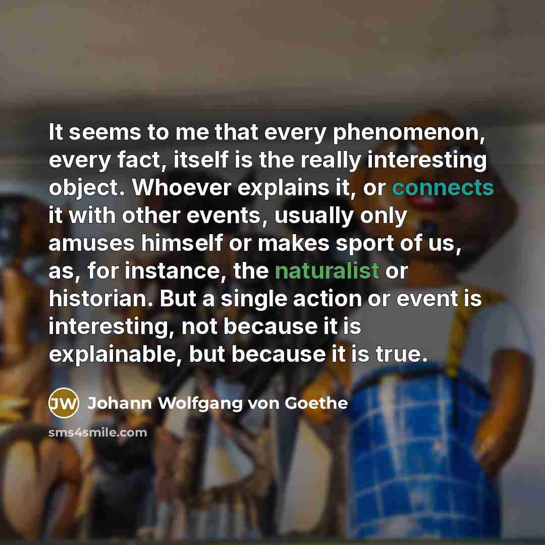 “It seems to me that every phenomenon, every fact, itself…” quote by Johann Wolfgang von Goethe