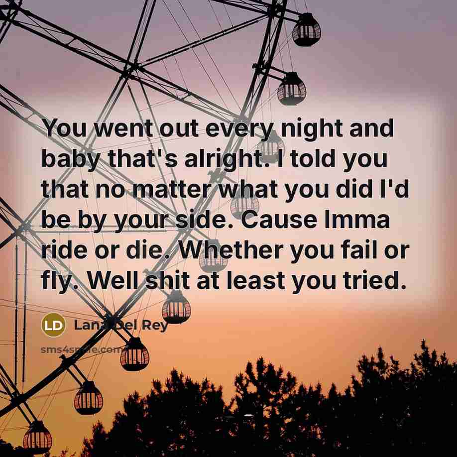 “You went out every night and baby that's alright. I…” quote by Lana Del Rey