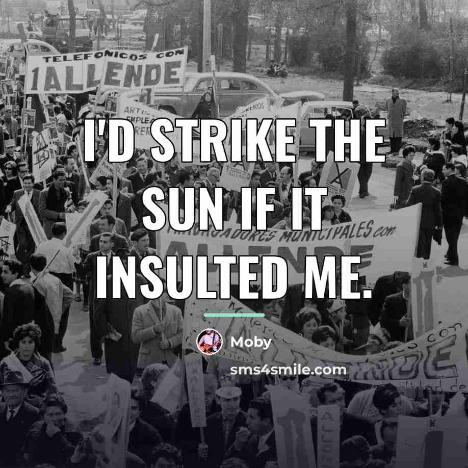 “I'd strike the sun if it insulted me.…” quote by Moby