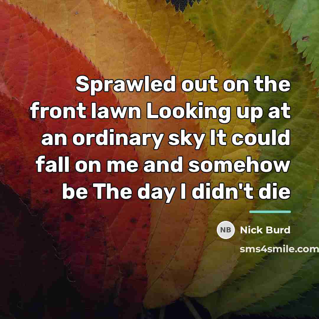 “Sprawled out on the front lawn Looking up at an…” quote by Nick Burd