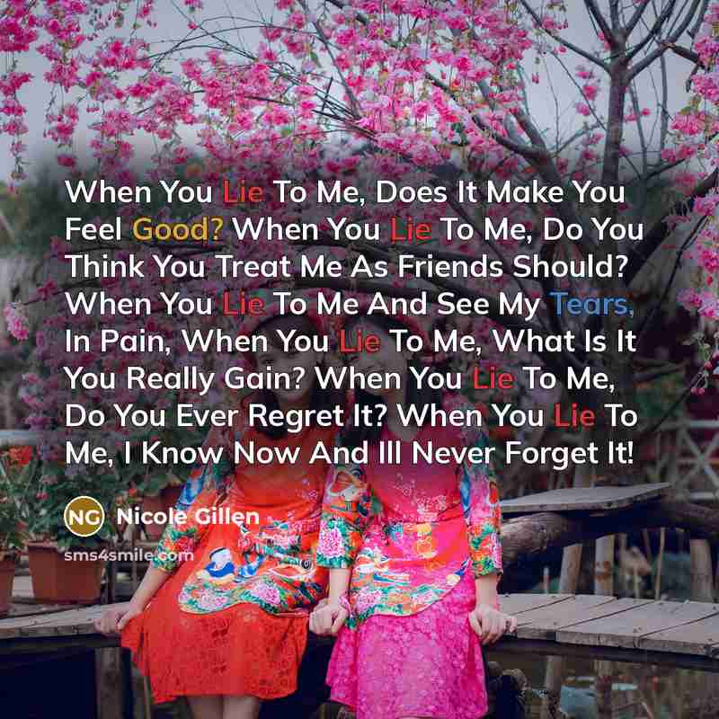 “When You Lie To Me, Does It Make You Feel…” quote by Nicole Gillen