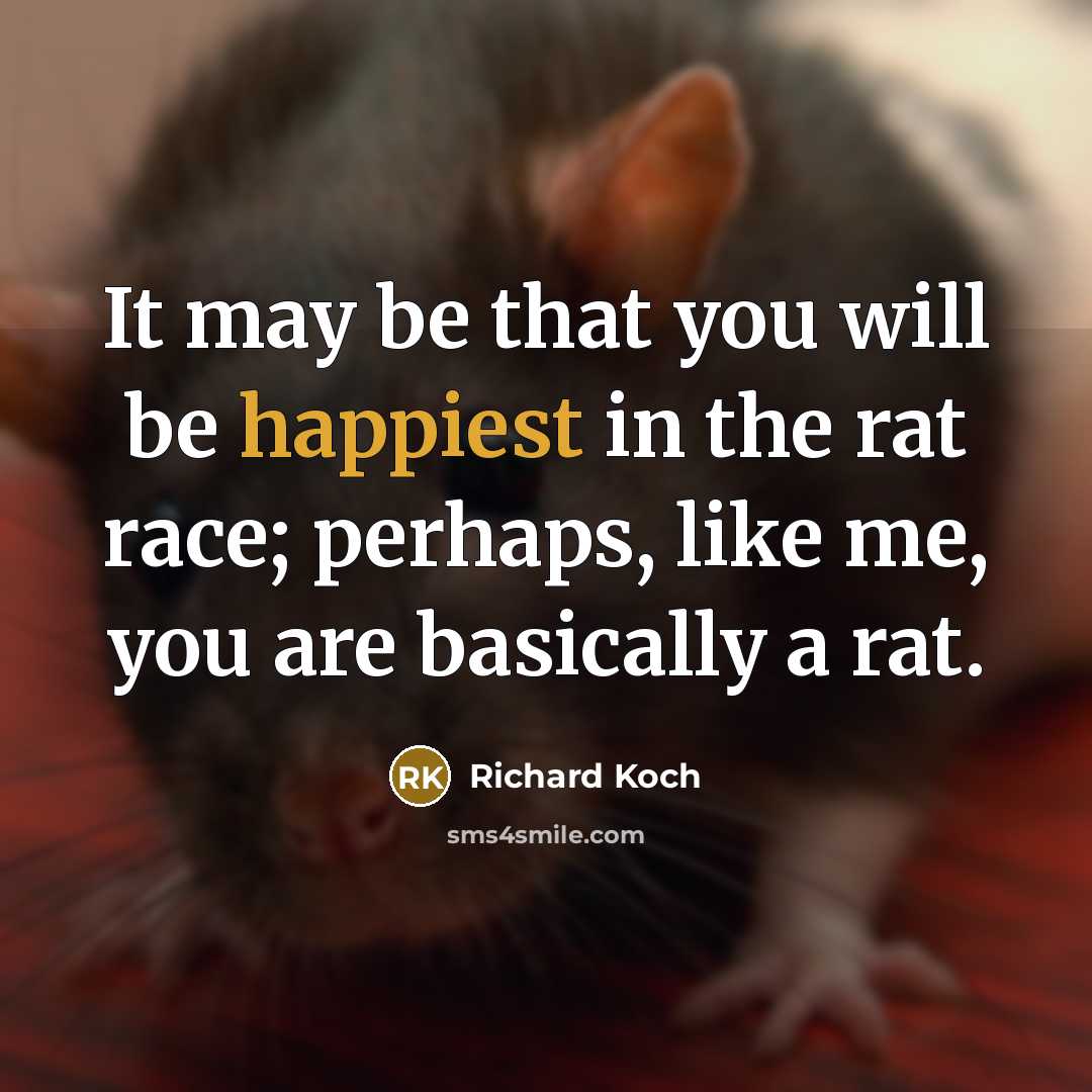 “It may be that you will be happiest in the rat race; perhaps, like me, you are basically a rat.” quote by Richard Koch