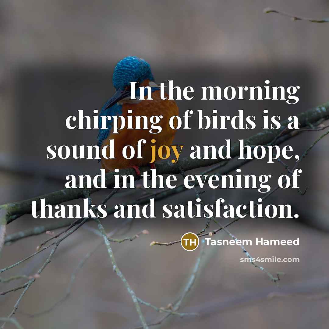 “In the morning chirping of birds is a sound of…” quote by Tasneem Hameed