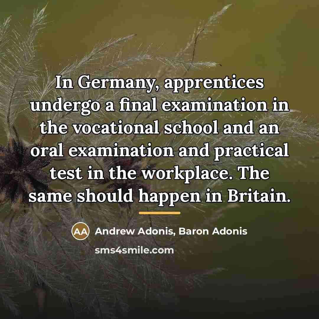 “In Germany, apprentices undergo a final examination in the vocational…” quote by Andrew Adonis, Baron Adonis