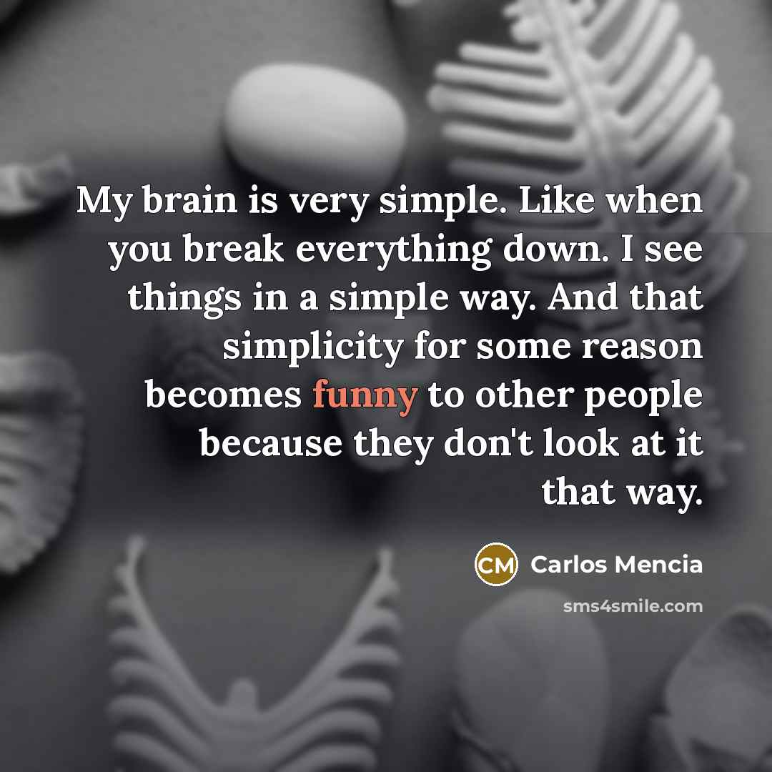 “My brain is very simple. Like when you break everything…” quote by Carlos Mencia