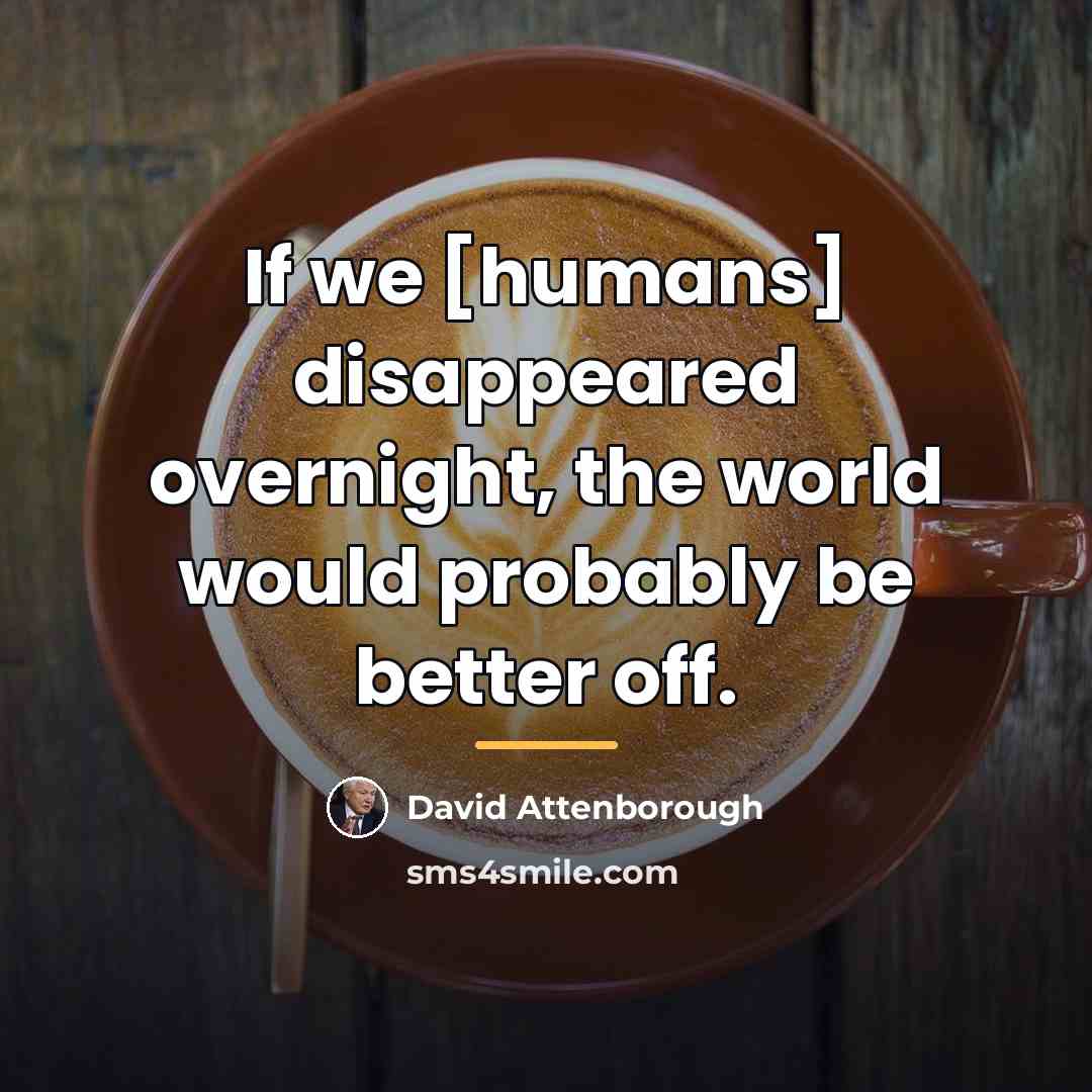 “If we [humans] disappeared overnight, the world would probably be…” quote by David Attenborough