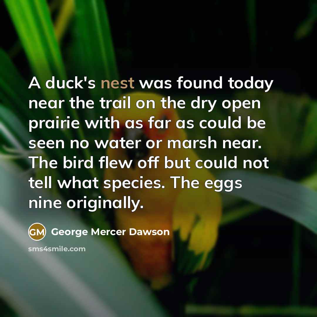 “A duck's nest was found today near the trail on…” quote by George Mercer Dawson