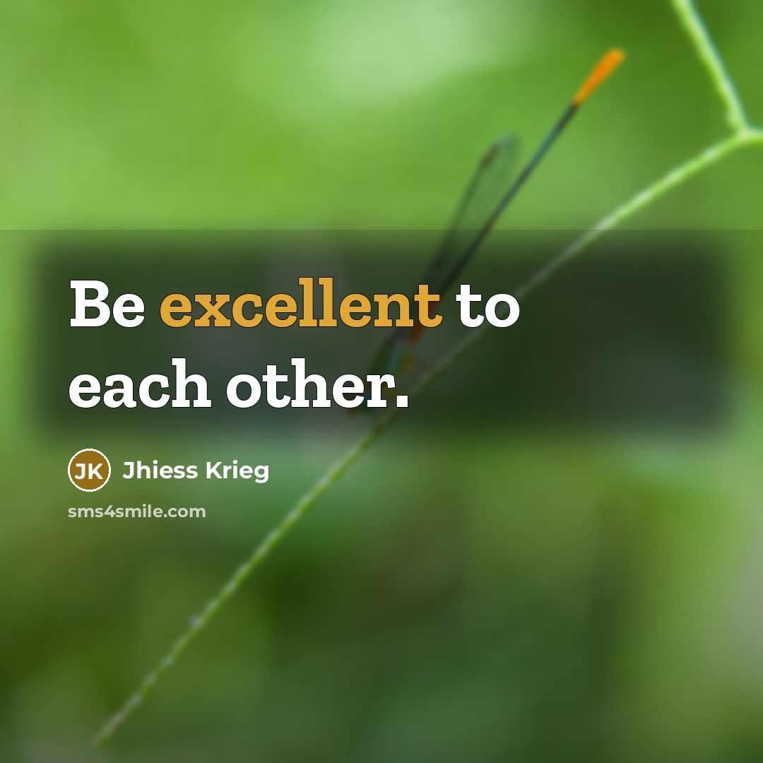 “Be excellent to each other.” quote by Jhiess Krieg