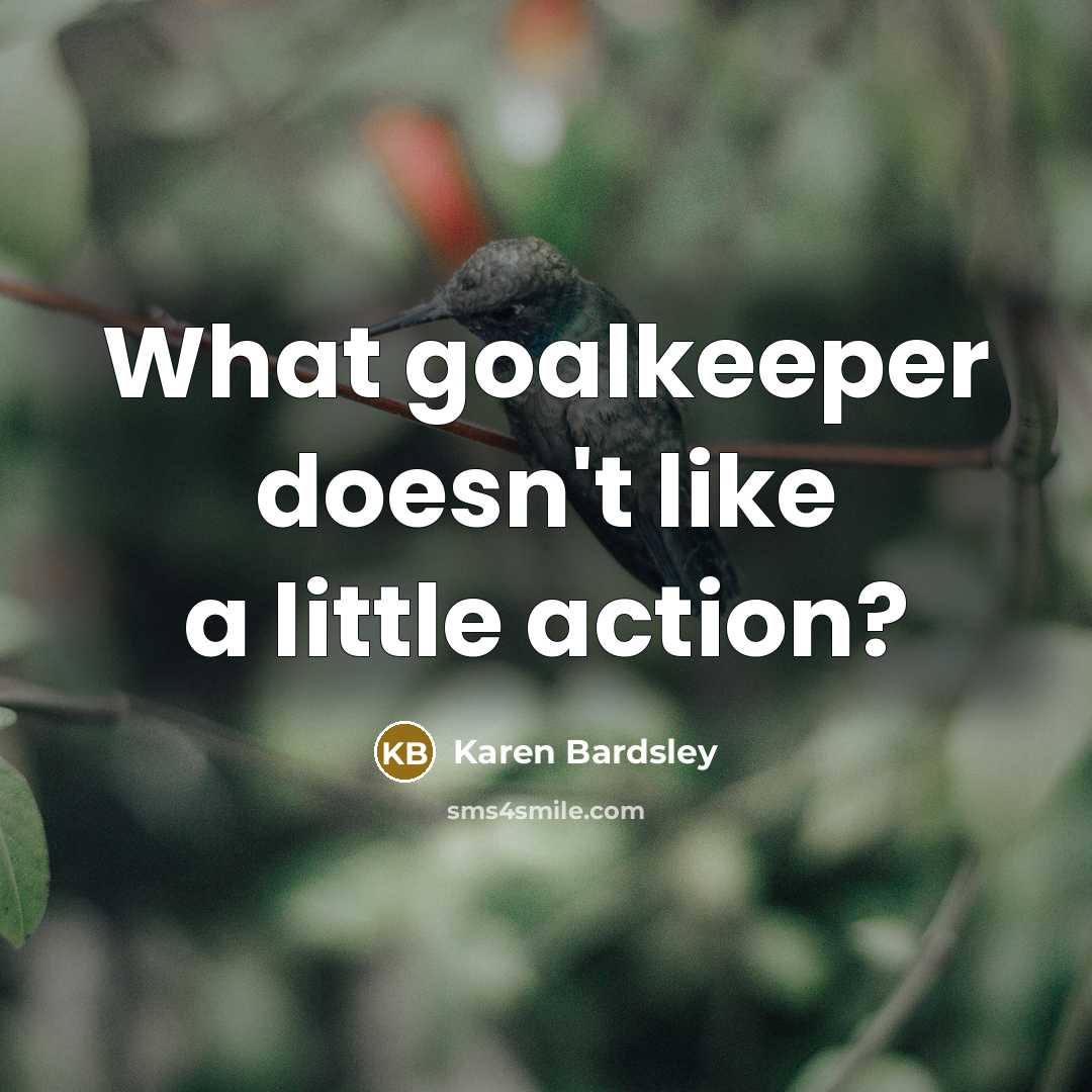 “What goalkeeper doesn't like a little action?…” quote by Karen Bardsley