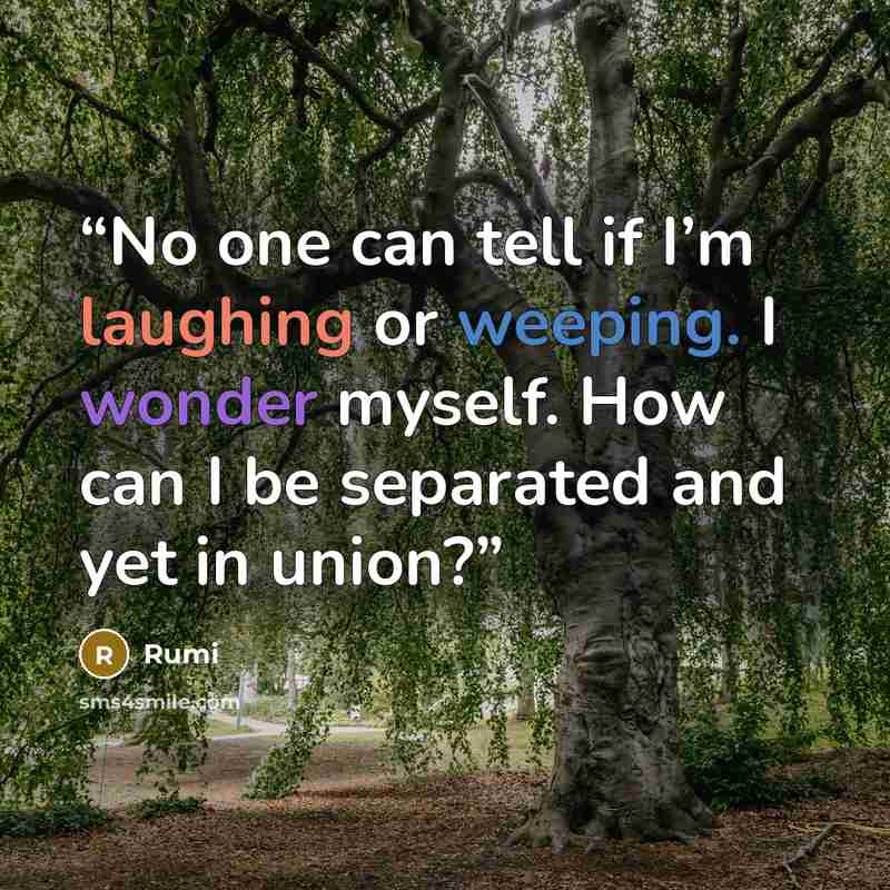 “No one can tell if I’m laughing or weeping. I wonder myself. How can I be separated and yet in union?” quote by Rumi