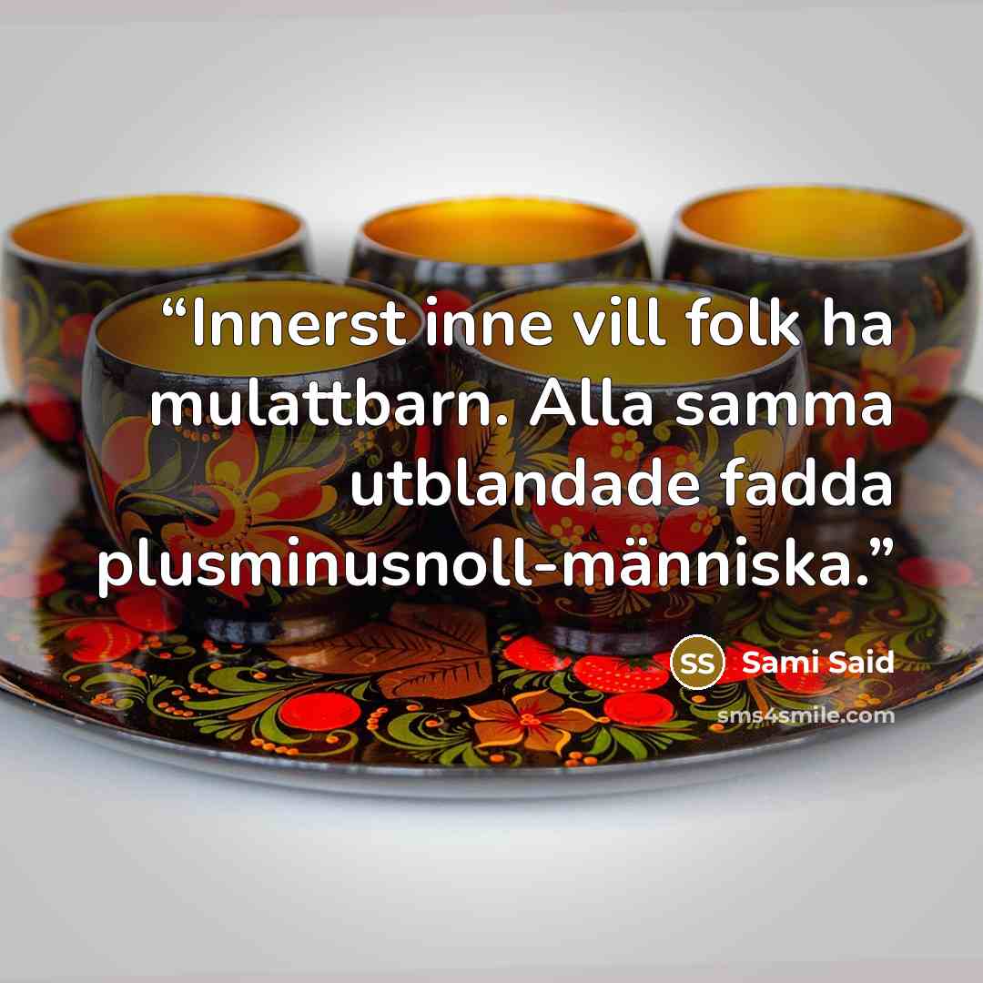 “Innerst inne vill folk ha mulattbarn. Alla samma utblandade fadda plusminusnoll-människa.” quote by Sami Said