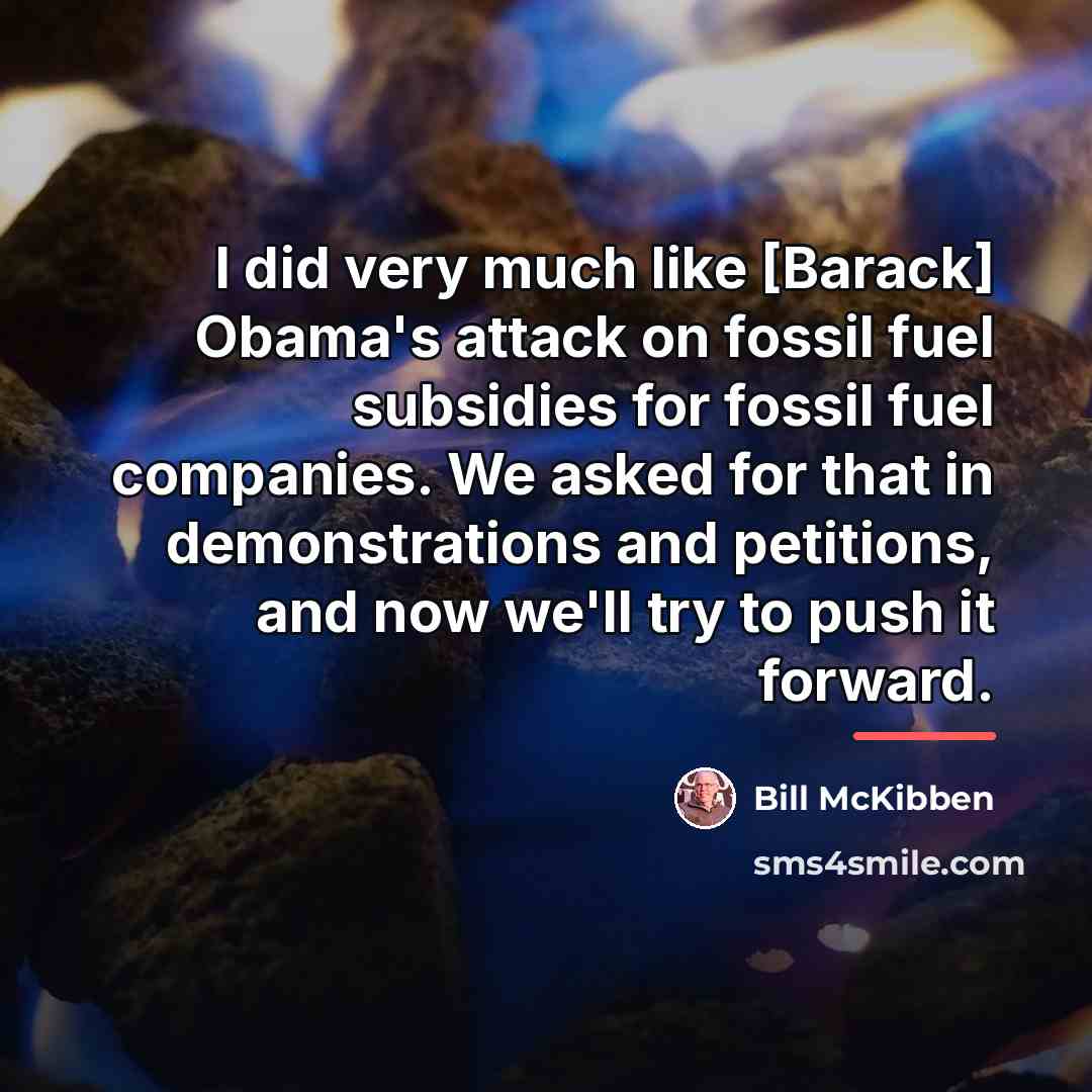 “I did very much like [Barack] Obama's attack on fossil…” quote by Bill McKibben