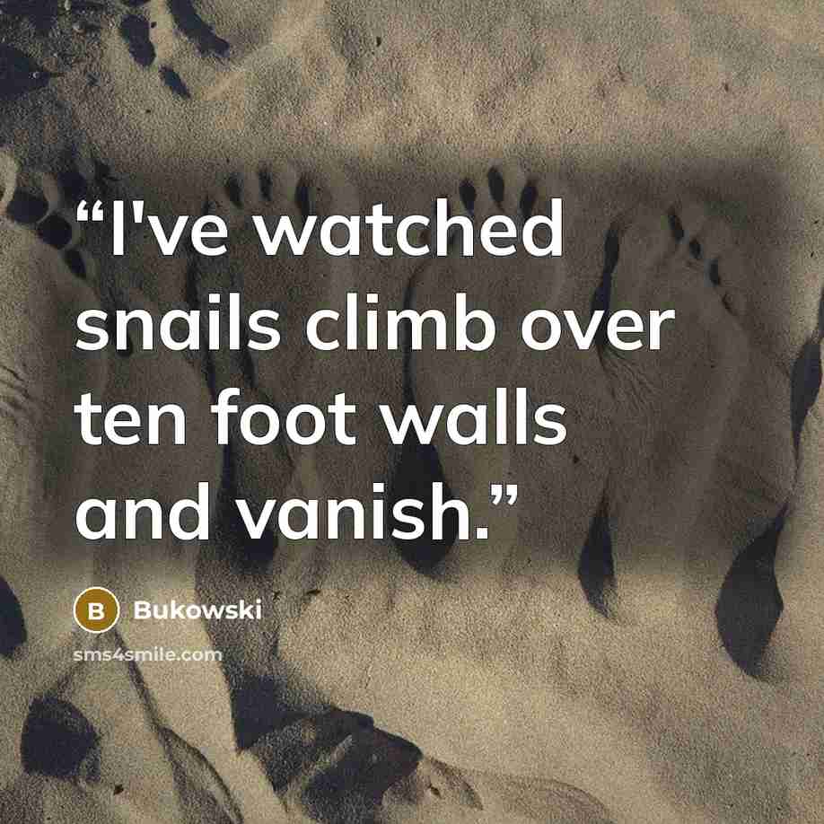“I've watched snails climb over ten foot walls and vanish.” quote by bukowski