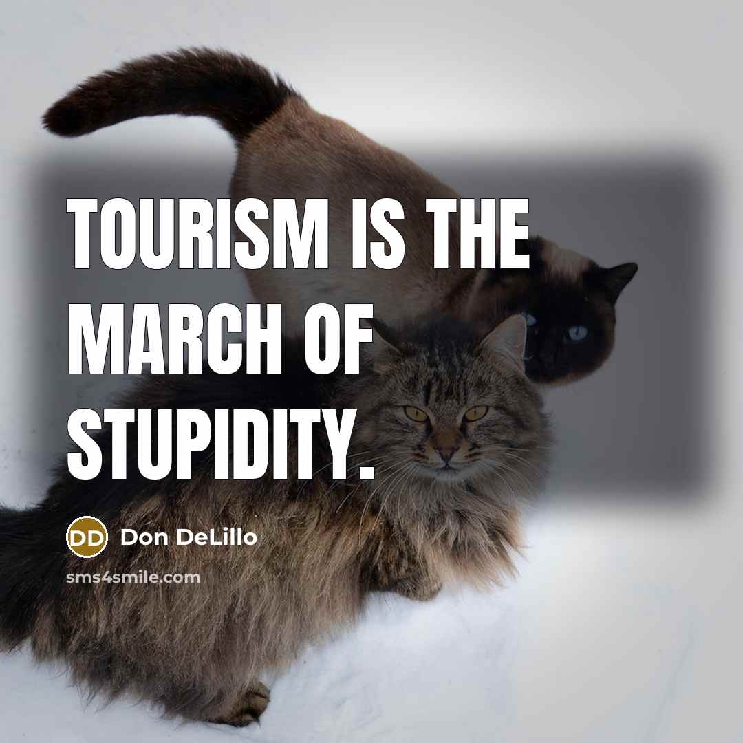 “Tourism is the march of stupidity.…” quote by Don DeLillo