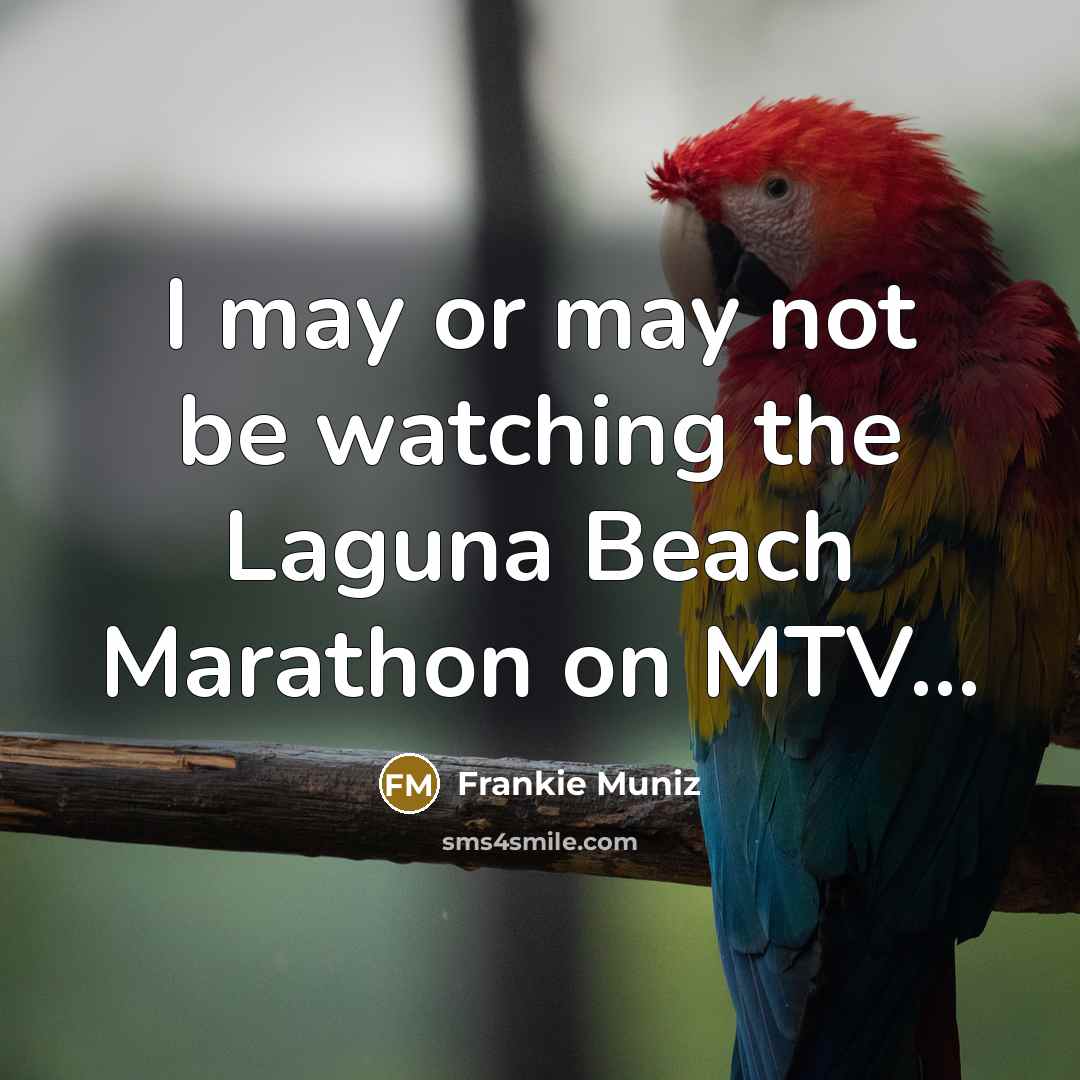 “I may or may not be watching the Laguna Beach…” quote by Frankie Muniz