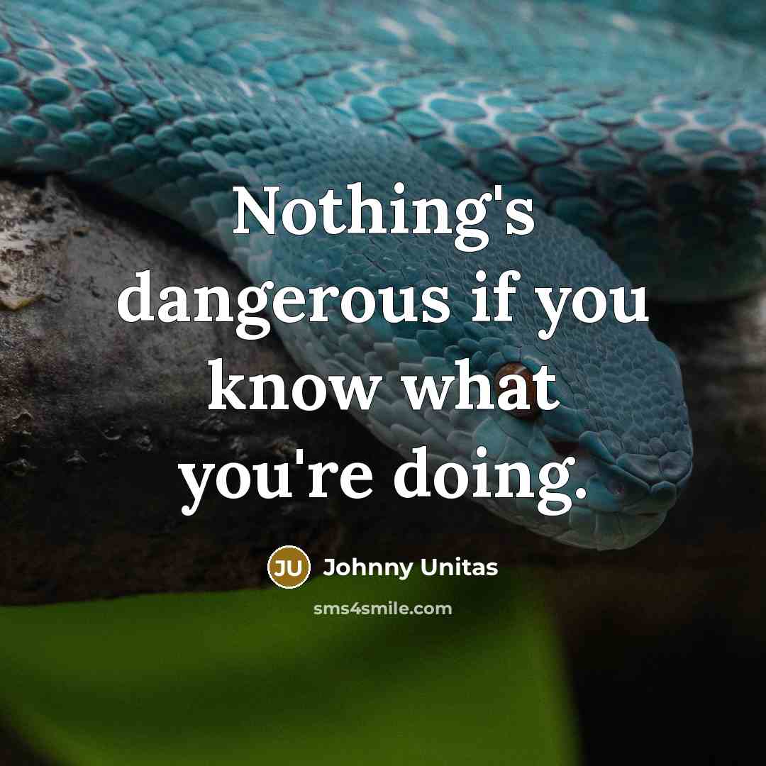 “Nothing's dangerous if you know what you're doing.…” quote by Johnny Unitas