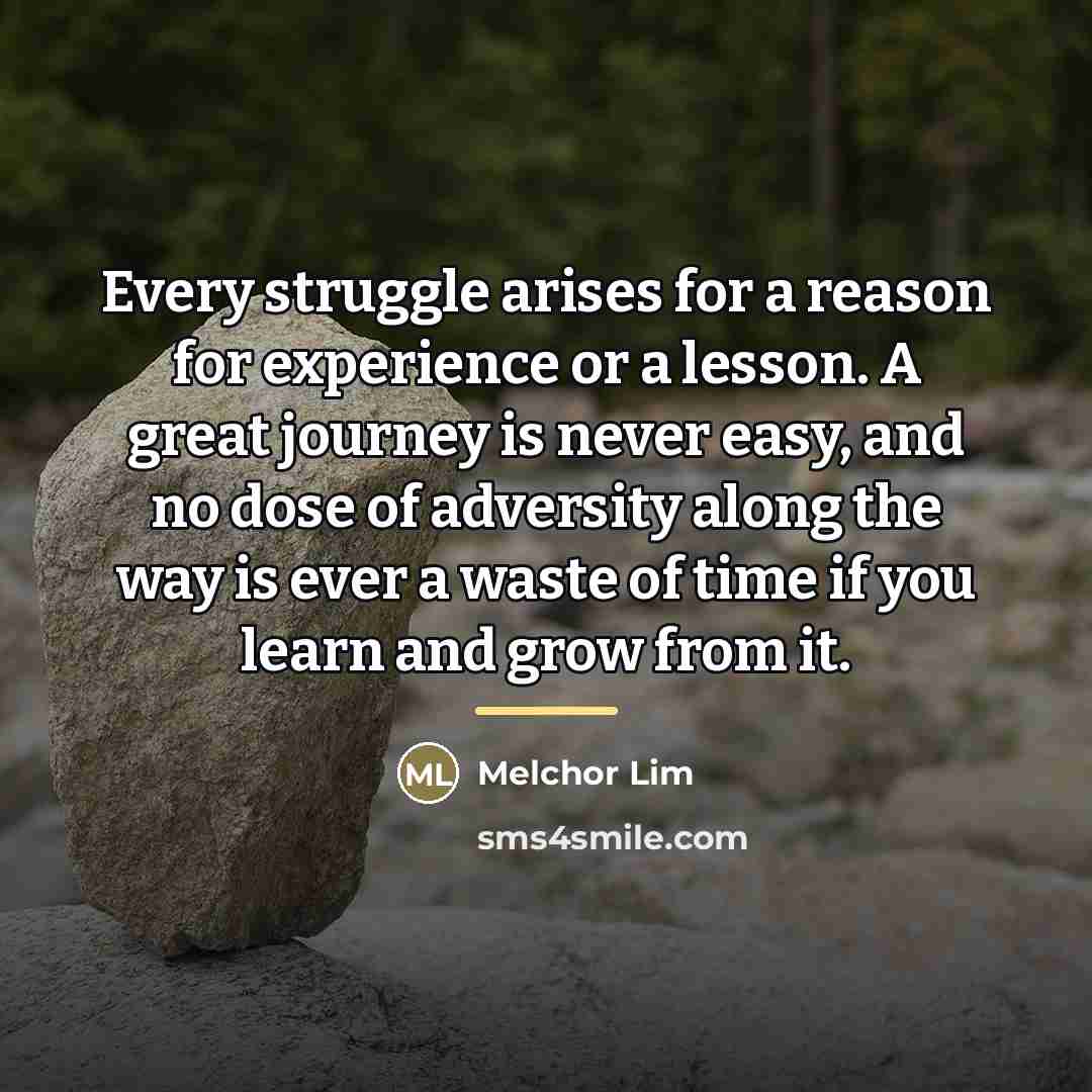 “Every struggle arises for a reason for experience or a…” quote by Melchor Lim