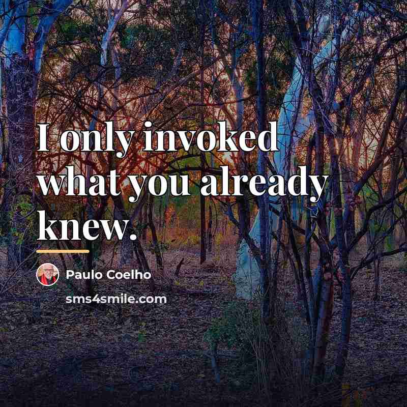 “I only invoked what you already knew.…” quote by Paulo Coelho