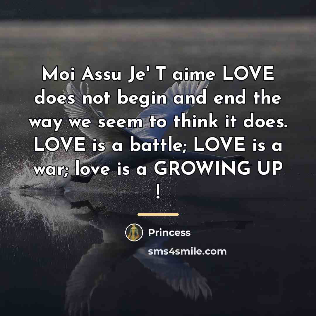 “Moi Assu Je' T aime LOVE does not begin and…” quote by Princess
