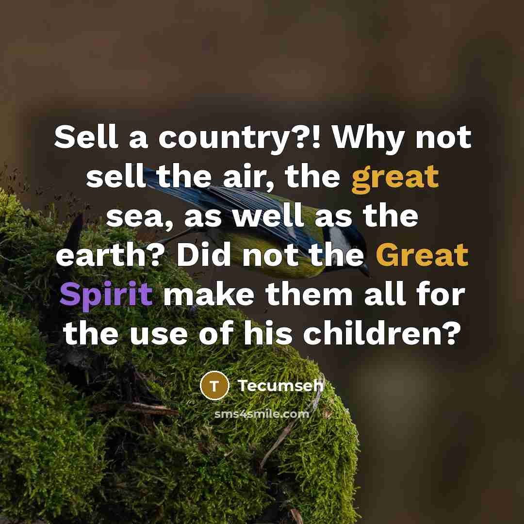“Sell a country?! Why not sell the air, the great…” quote by Tecumseh
