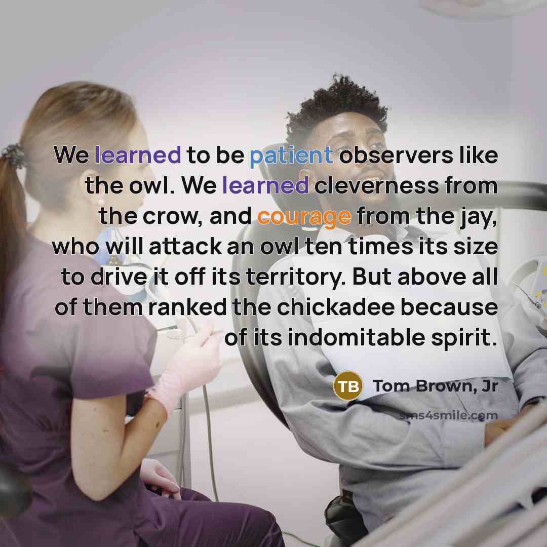 “We learned to be patient observers like the owl. We…” quote by Tom Brown, Jr