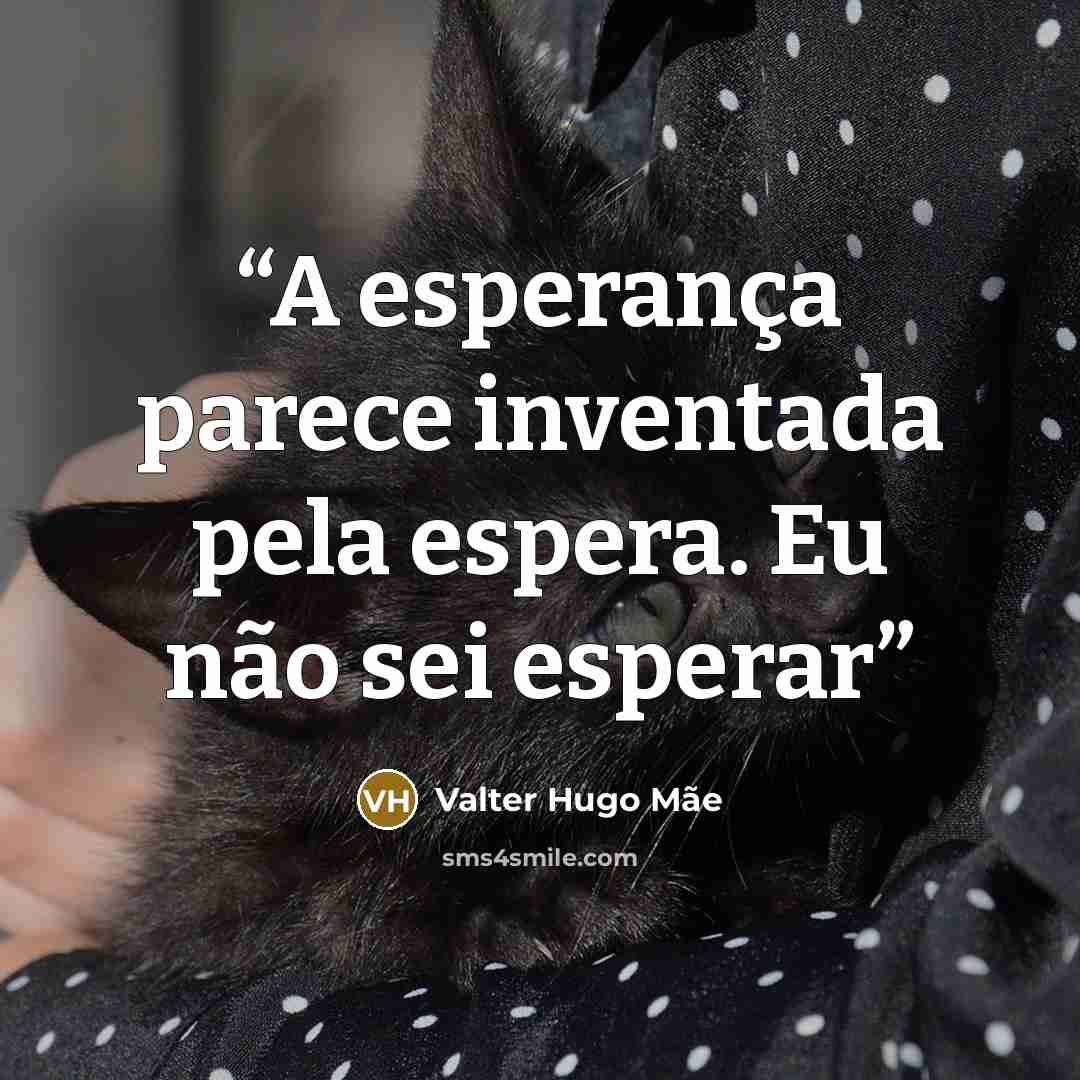“A esperança parece inventada pela espera. Eu não sei esperar” quote by Valter Hugo Mãe