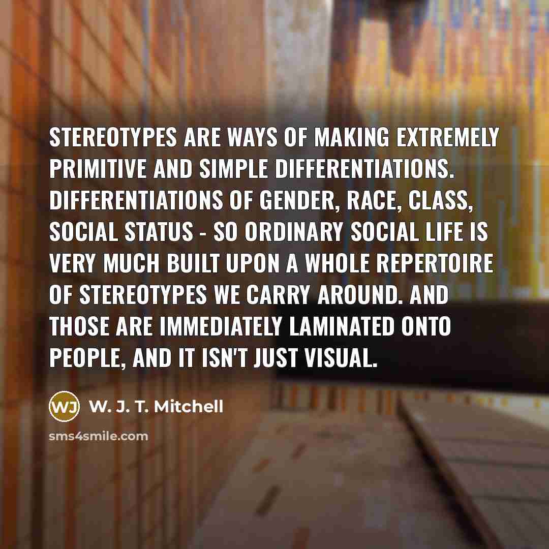 “Stereotypes are ways of making extremely primitive and simple differentiations.…” quote by W. J. T. Mitchell