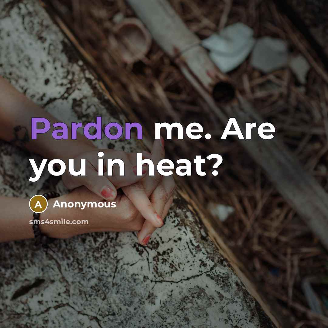 “Pardon me. Are you in heat?…” quote by Anonymous