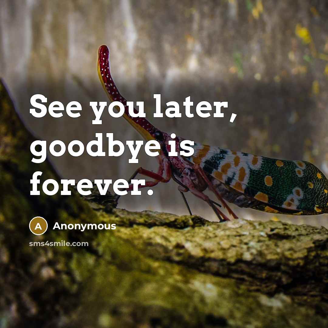 “See you later, goodbye is forever.…” quote by Anonymous