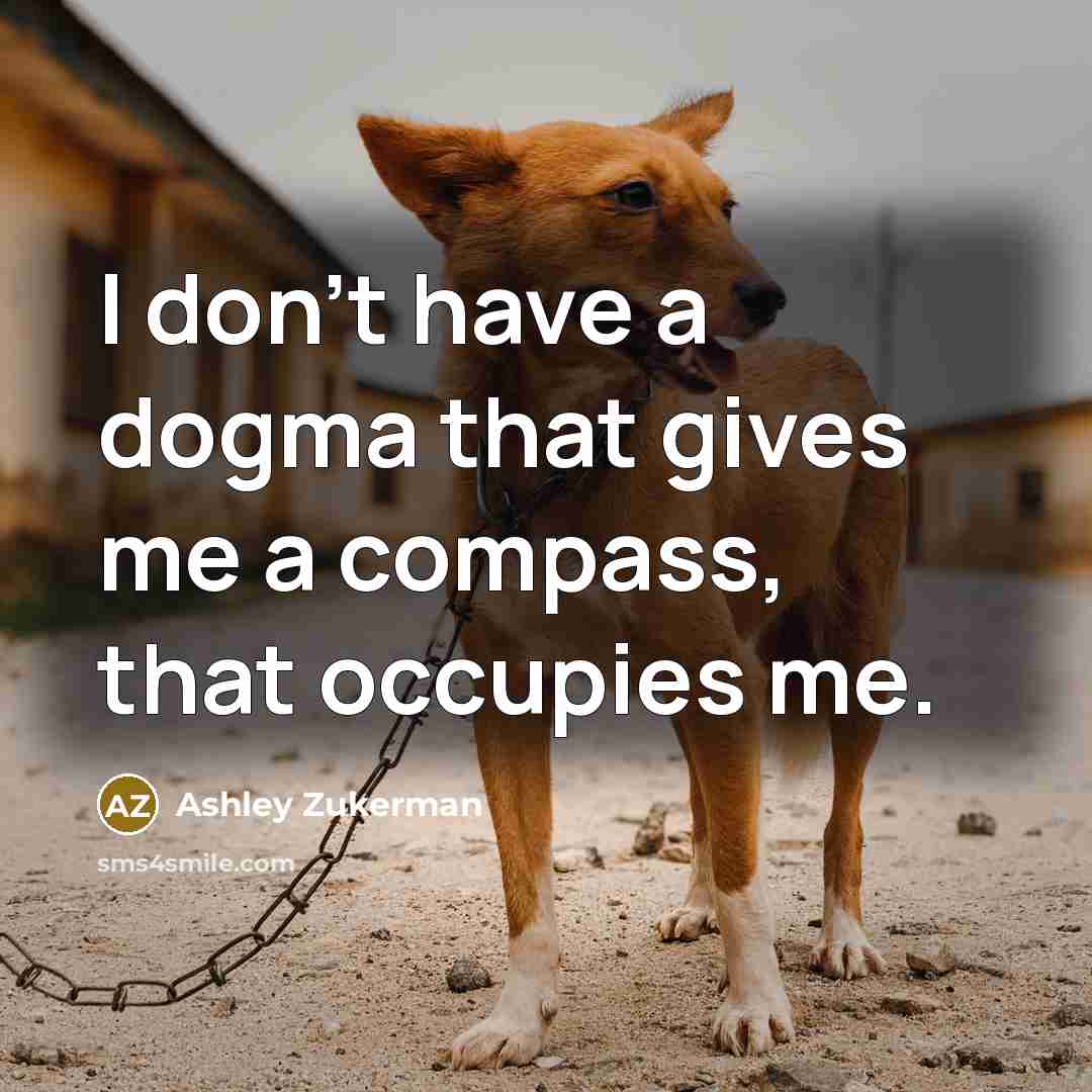 “I don't have a dogma that gives me a compass,…” quote by Ashley Zukerman