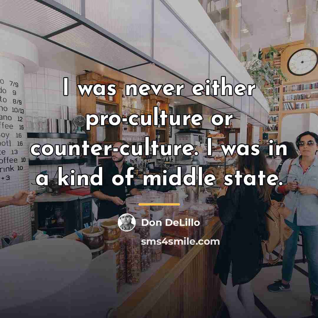“I was never either pro-culture or counter-culture. I was in…” quote by Don DeLillo