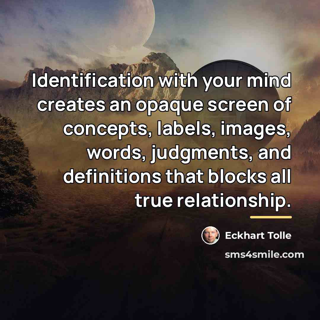 “Identification with your mind creates an opaque screen of concepts,…” quote by Eckhart Tolle
