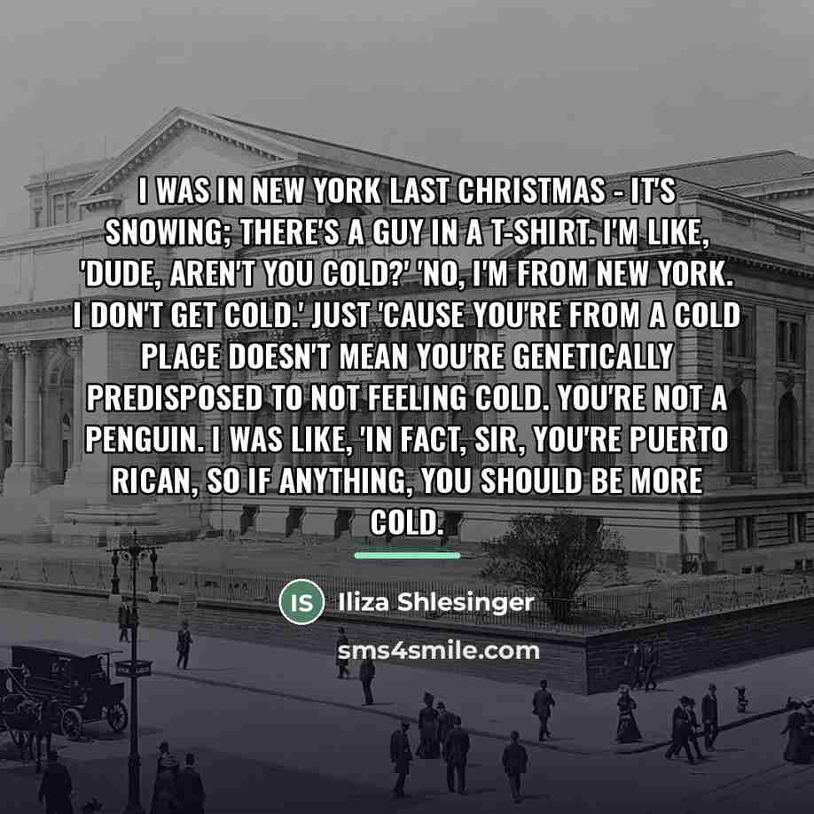 “I was in New York last Christmas - it's snowing;…” quote by Iliza Shlesinger