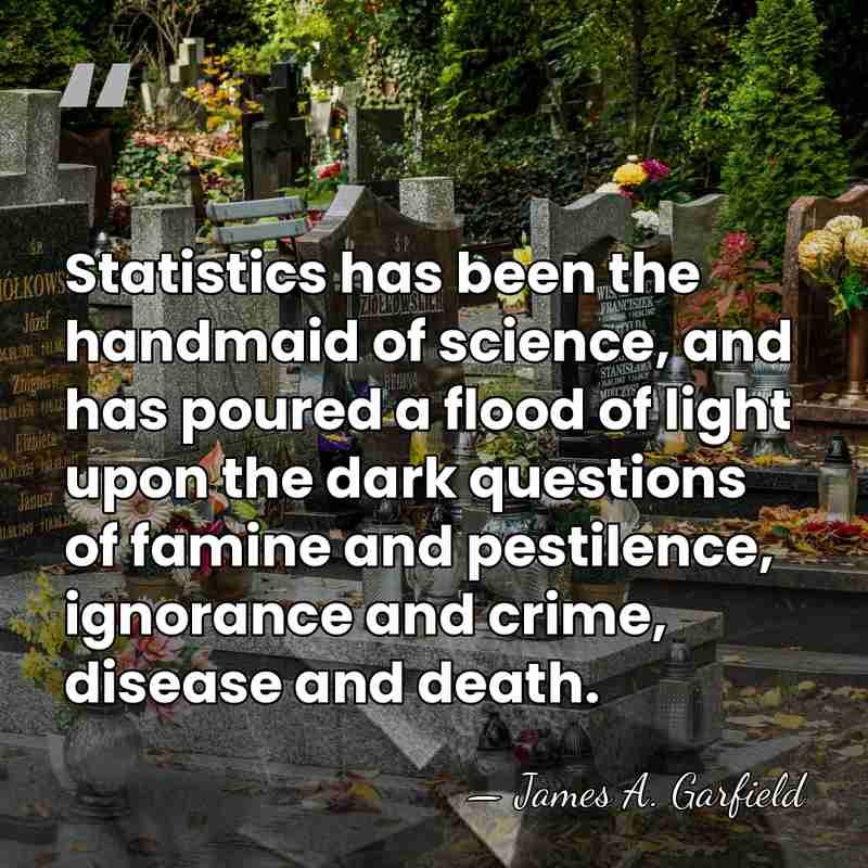 Statistics has been the handmaid of science, and has poured a flood&hellip; - James A. Garfield