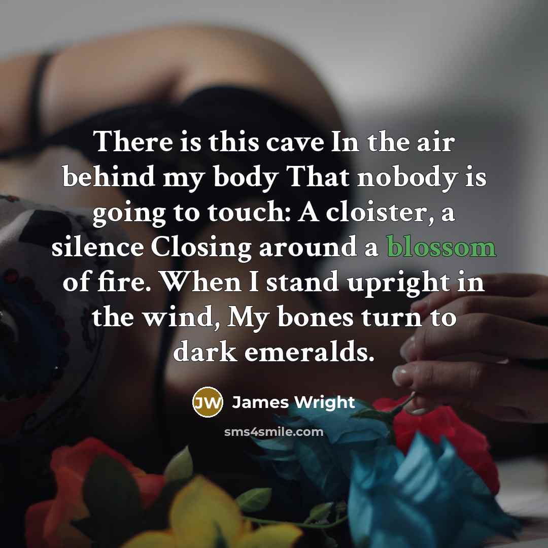 “There is this cave In the air behind my body…” quote by James Wright