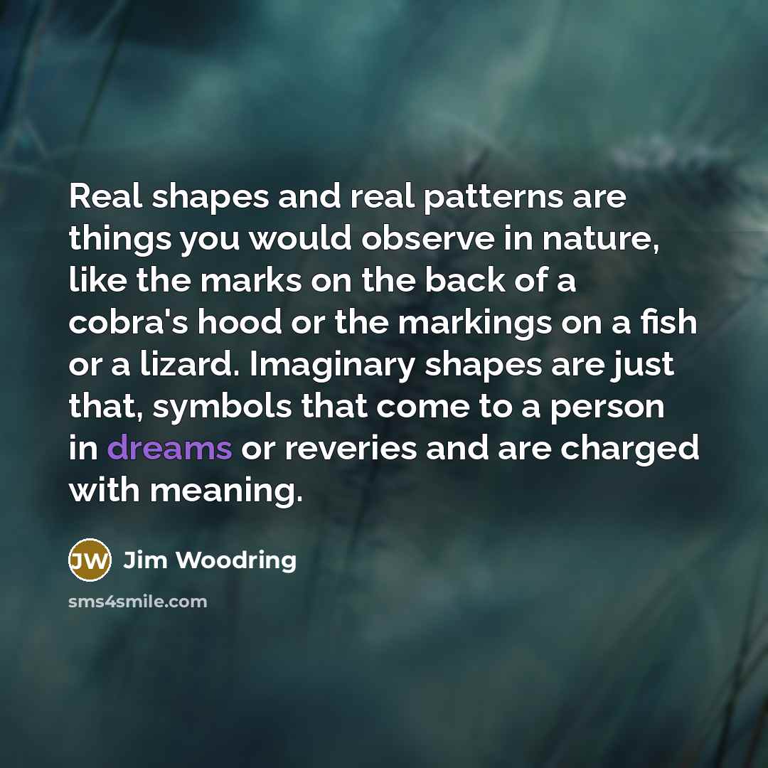 “Real shapes and real patterns are things you would observe…” quote by Jim Woodring